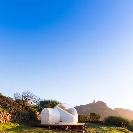 Bubbletent Canarias Finca La Isa Luxe tent