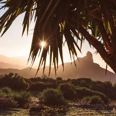 Luxe tent Bubbletent Canarias Finca La Isa Tejeda (Gran Canaria)